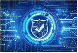 如何確保獨立服務器安全性能 網絡科技開發者的實踐指南